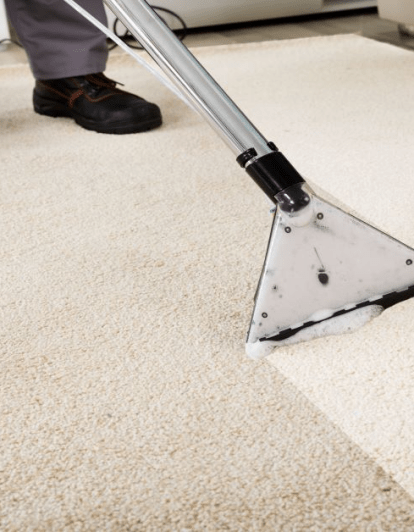 Gallery image 3 — carpet cleaning near me
