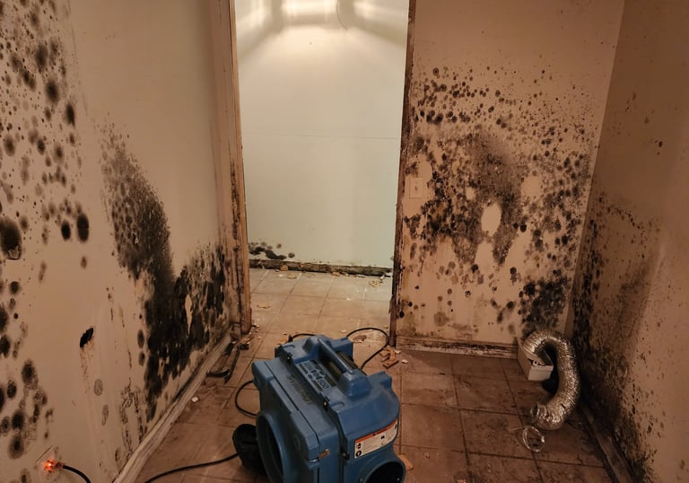 Gallery image 1 — burst pipe cleanup Georgetown