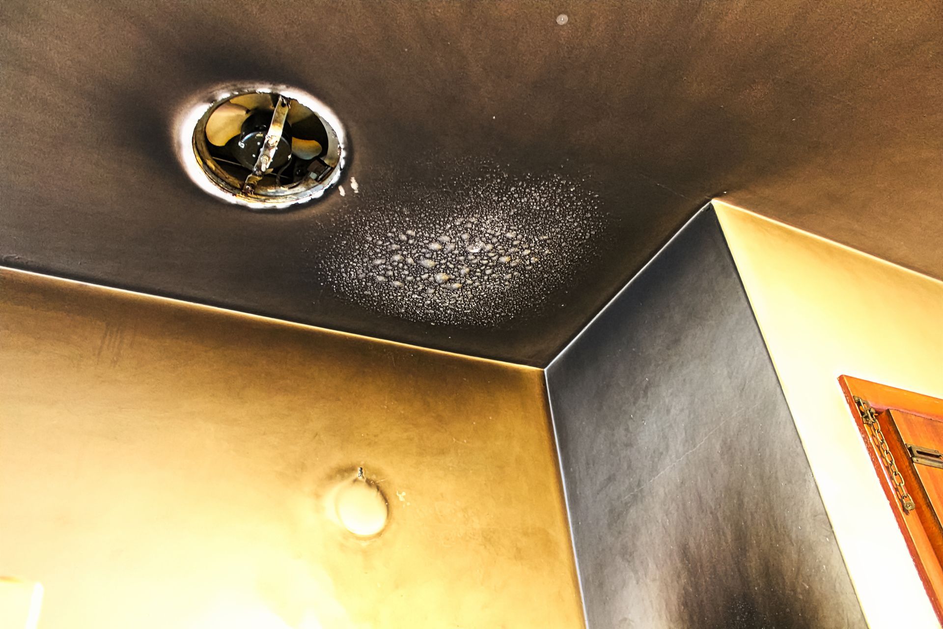 Gallery image 4 — mold removal contractor scottsdale