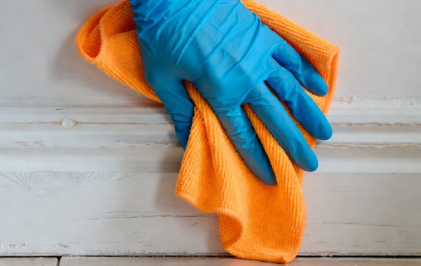 Gallery image 7 — licensed bonded insured cleaners Ladybug Cleaning Co.