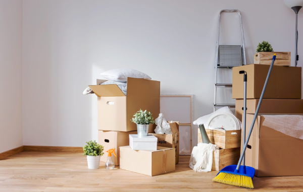 Gallery image 5 — licensed bonded insured cleaners Ladybug Cleaning Co.