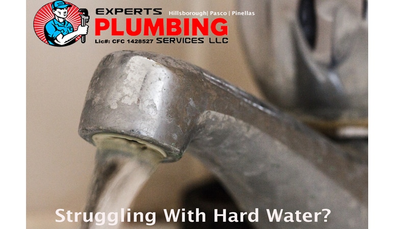 Gallery image 2 — drain cleaning services Lutz