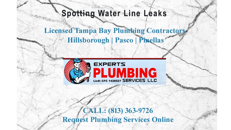 Gallery image 5 — drain cleaning services Lutz