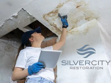 demolition services in Silver City Inc