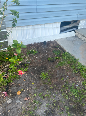 Gallery image 4 — drain clearing Sarasota County