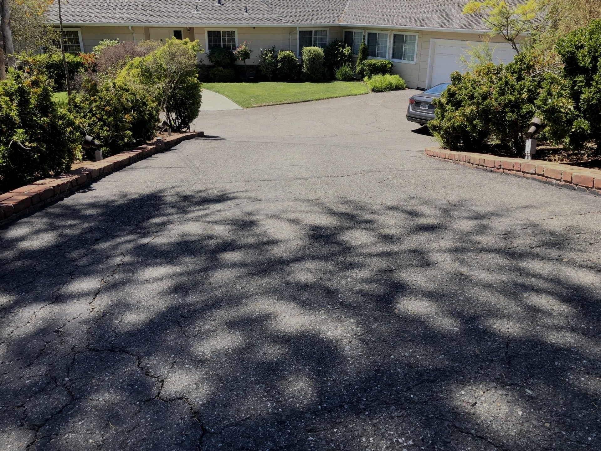 best landscape construction Bay Area