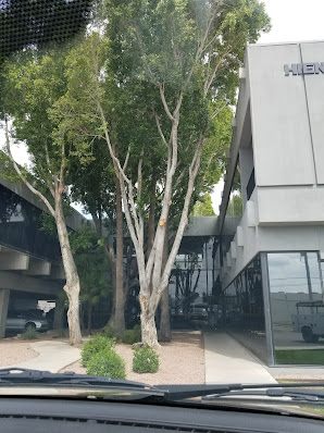 Gallery image 3 — infrastructure concrete forming services