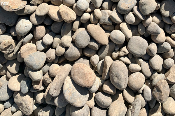 Gallery image 6 — garden supplies near me