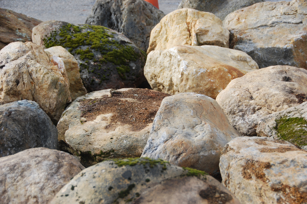 Gallery image 3 — garden supplies near me