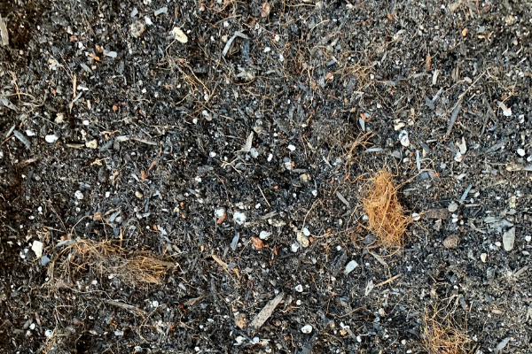 Gallery image 10 — garden supplies near me