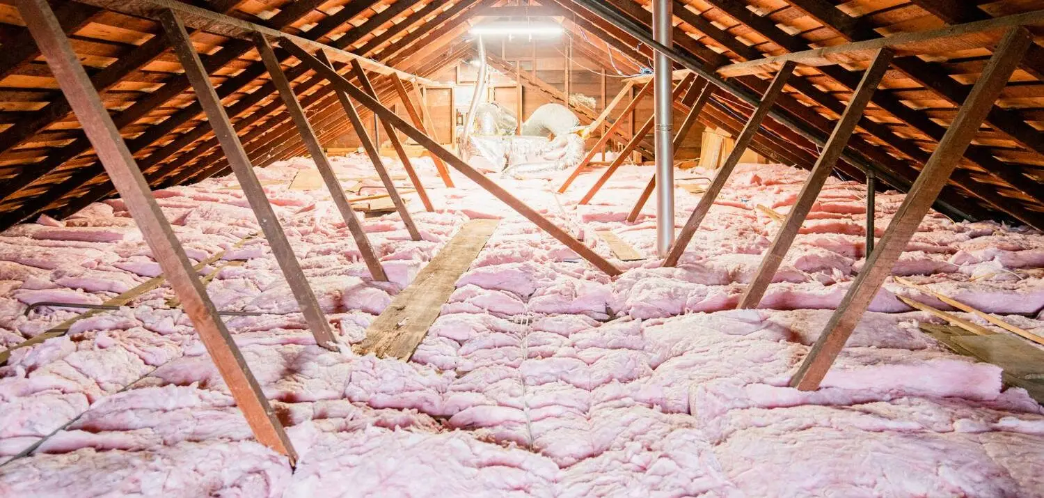attic sanitization near me