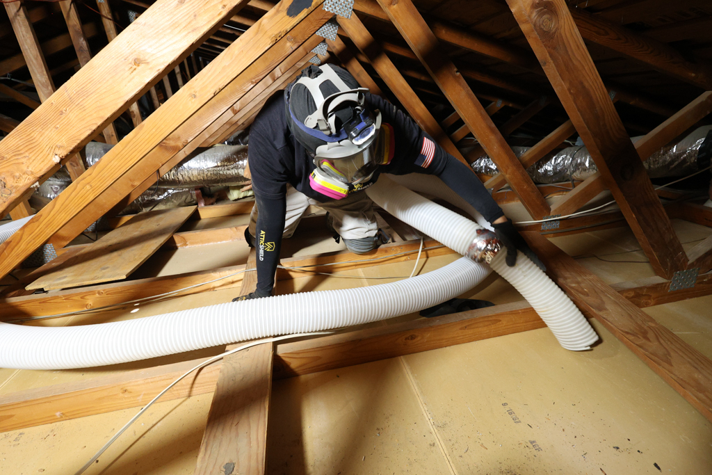 About attic sanitization near me