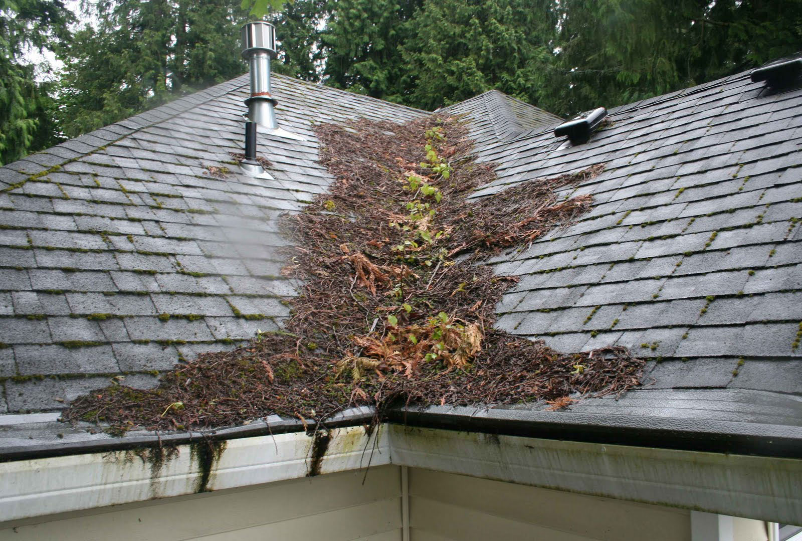 Gallery image 7 — HOA approved roofing Carlsbad