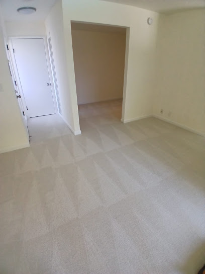 affordable standard cleaning near me