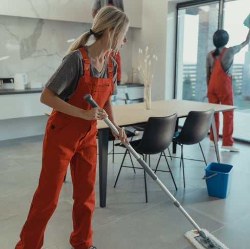 Gallery image 7 — Super Cleaning of Silicon Valley