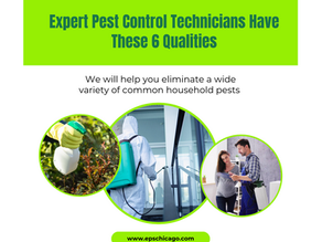 Gallery image 1 — eco-friendly pest control in Chicago
