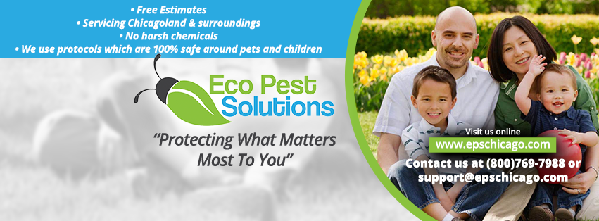 eco-friendly pest control in Chicago