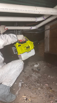 Gallery image 4 — eco-friendly pest control in Chicago