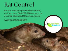 Gallery image 2 — eco-friendly pest control in Chicago