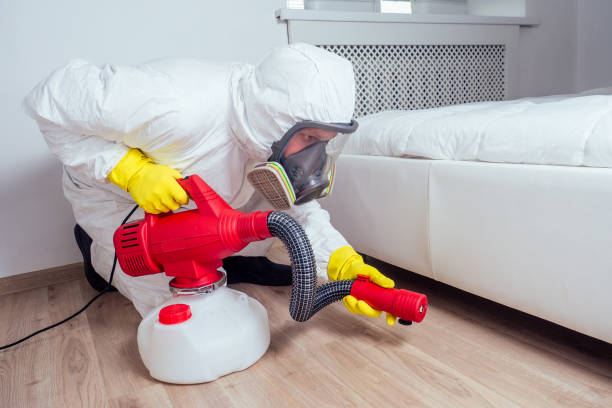 bed bug heat treatment Chicago