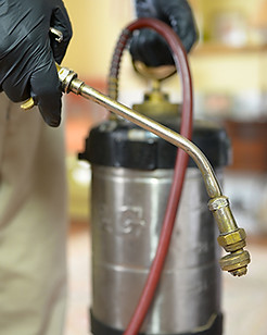 Gallery image 6 — bed bug treatment Wisconsin