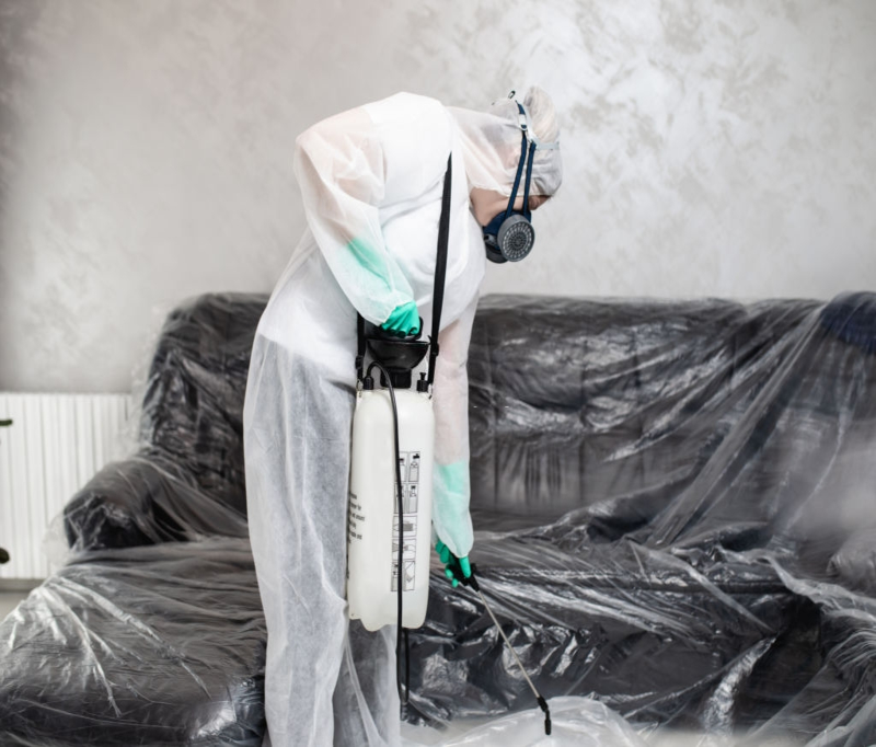 Gallery image 1 — ant removal specialist surrounding suburbs
