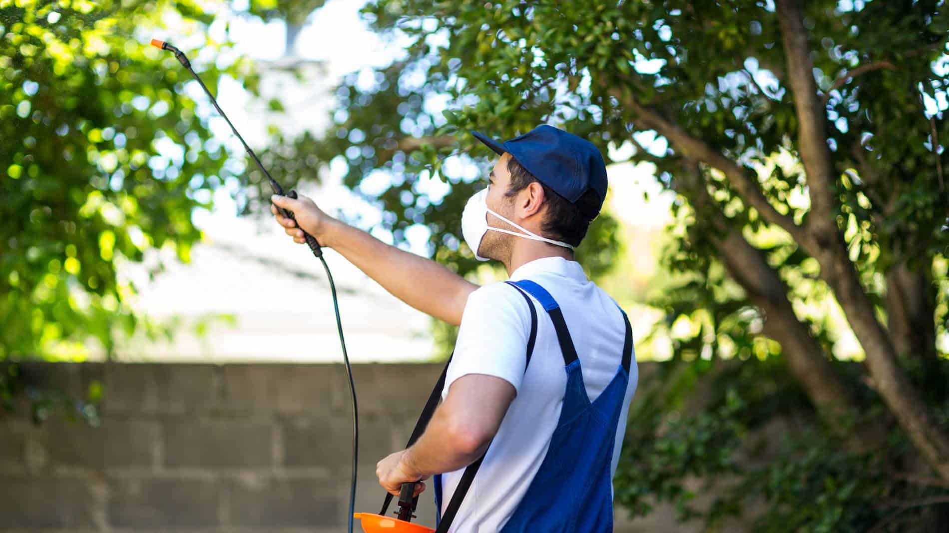 pest control in South Suburban