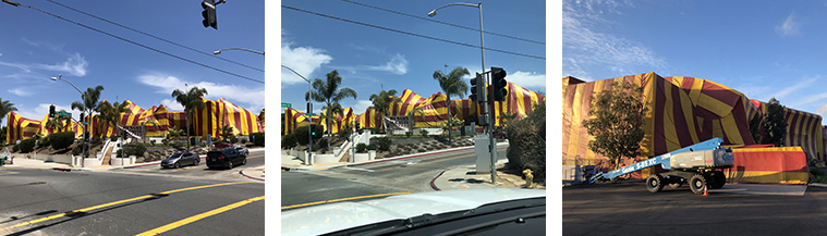 Gallery image 6 — commercial termite exterminator San Diego County