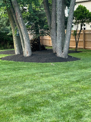 Gallery image 2 — patio builders near me