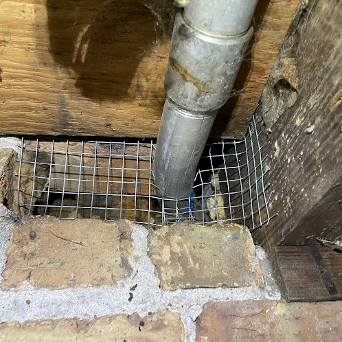 Gallery image 1 — rodent control Chicago