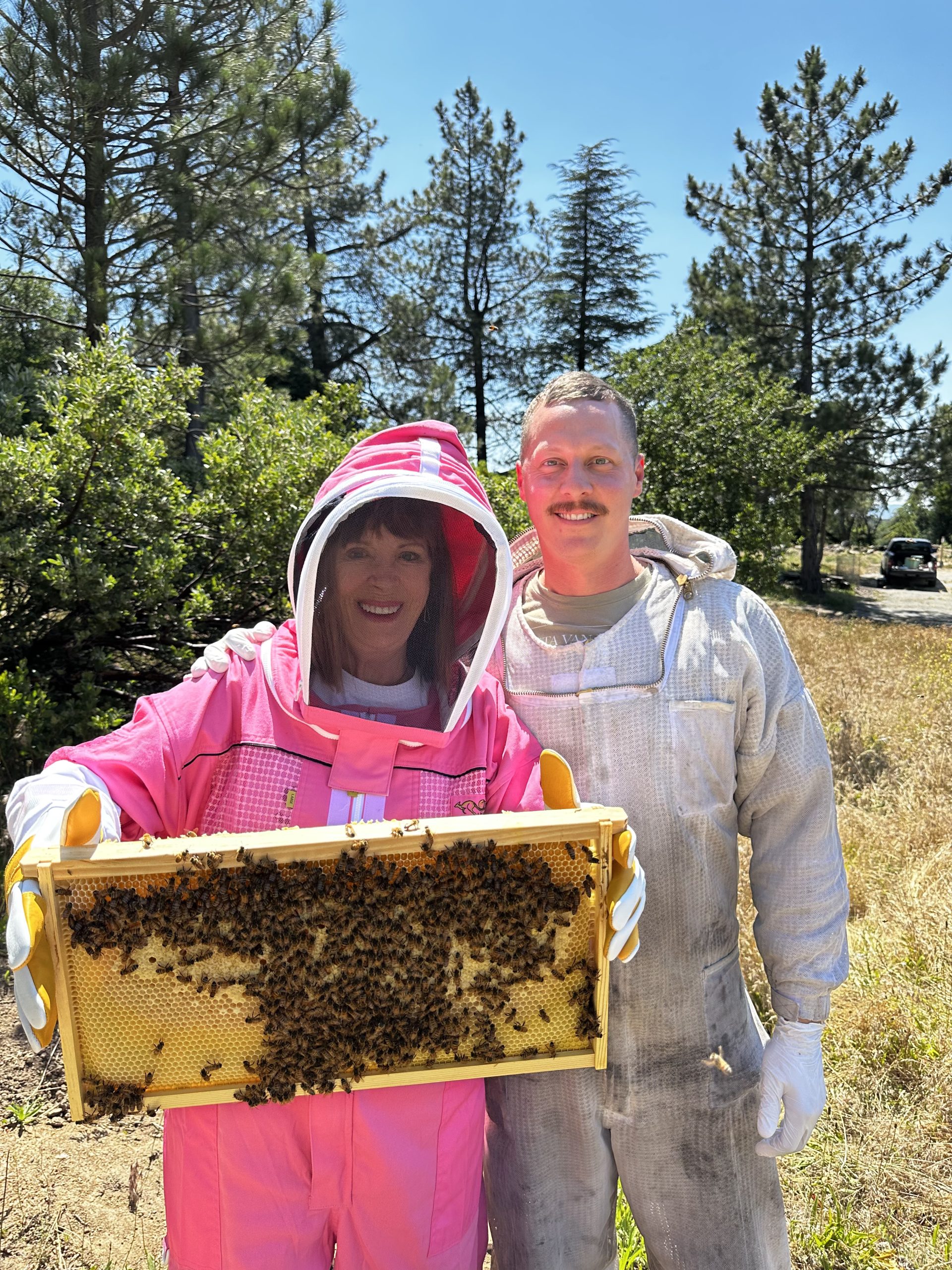 emergency bee removal near me