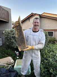 Gallery image 6 — emergency bee removal near me