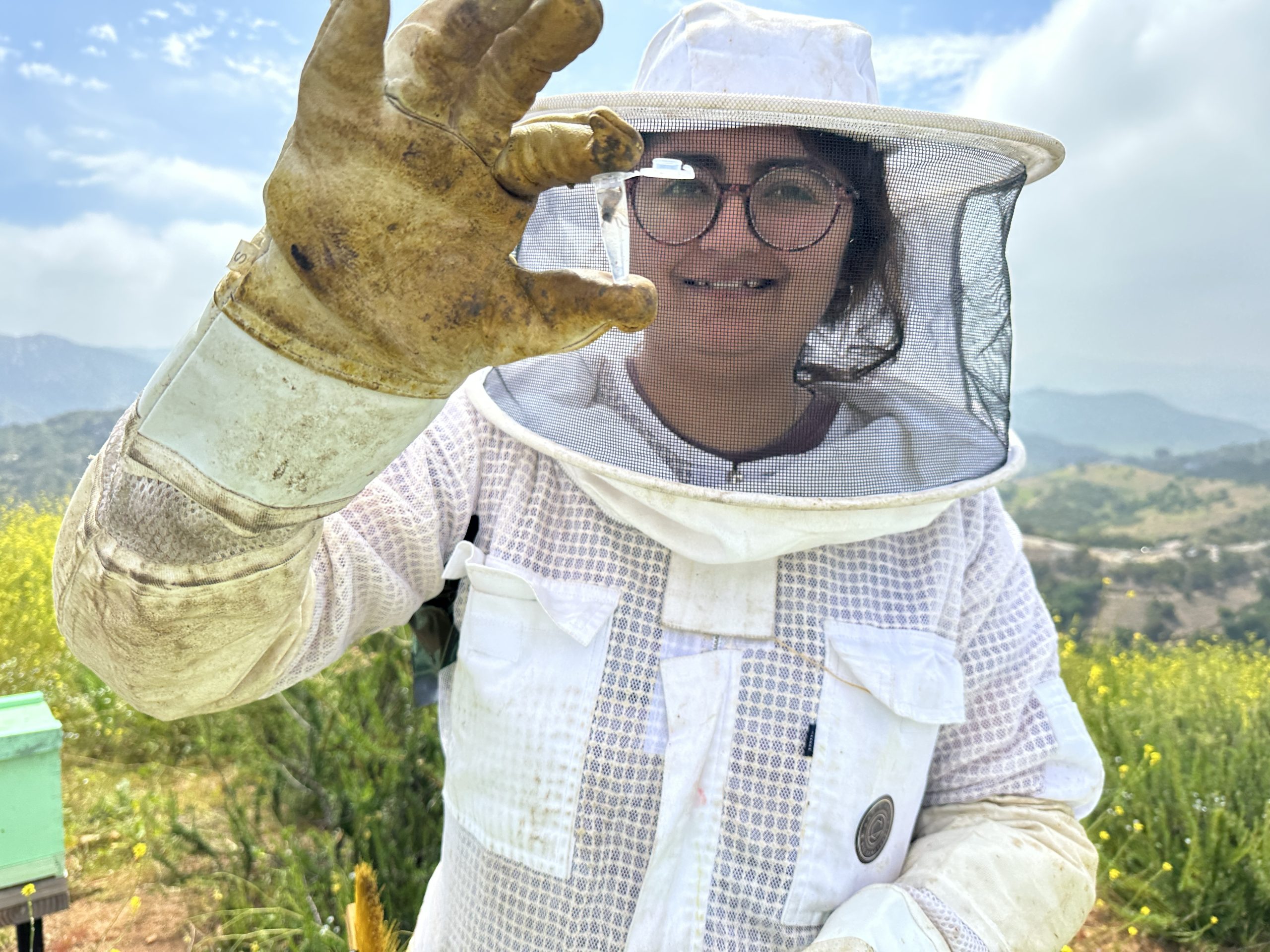 Gallery image 2 — emergency bee removal near me
