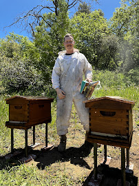 Gallery image 1 — emergency bee removal near me