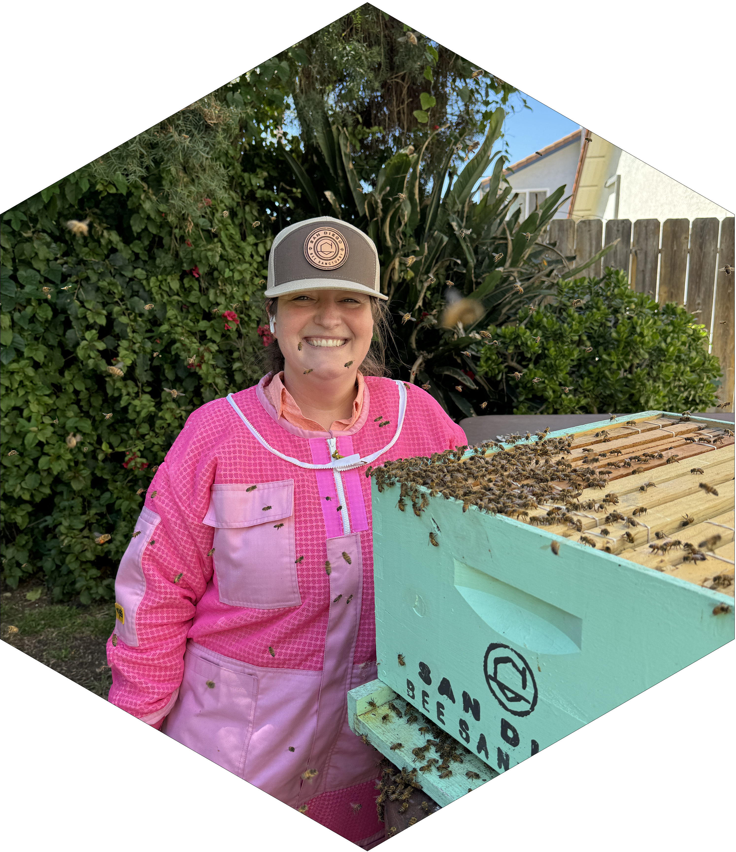 About emergency bee removal near me