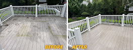 Gallery image 1 — house washing Chicago Racoons - Window & Power Washing