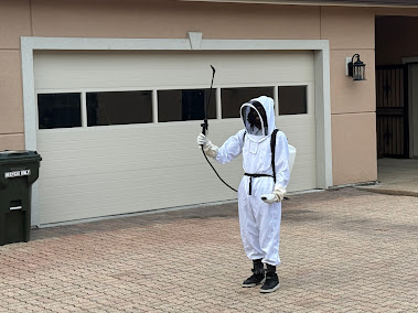 Gallery image 8 — commercial pest control Springfield