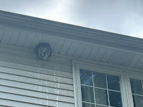 About commercial pest control Springfield