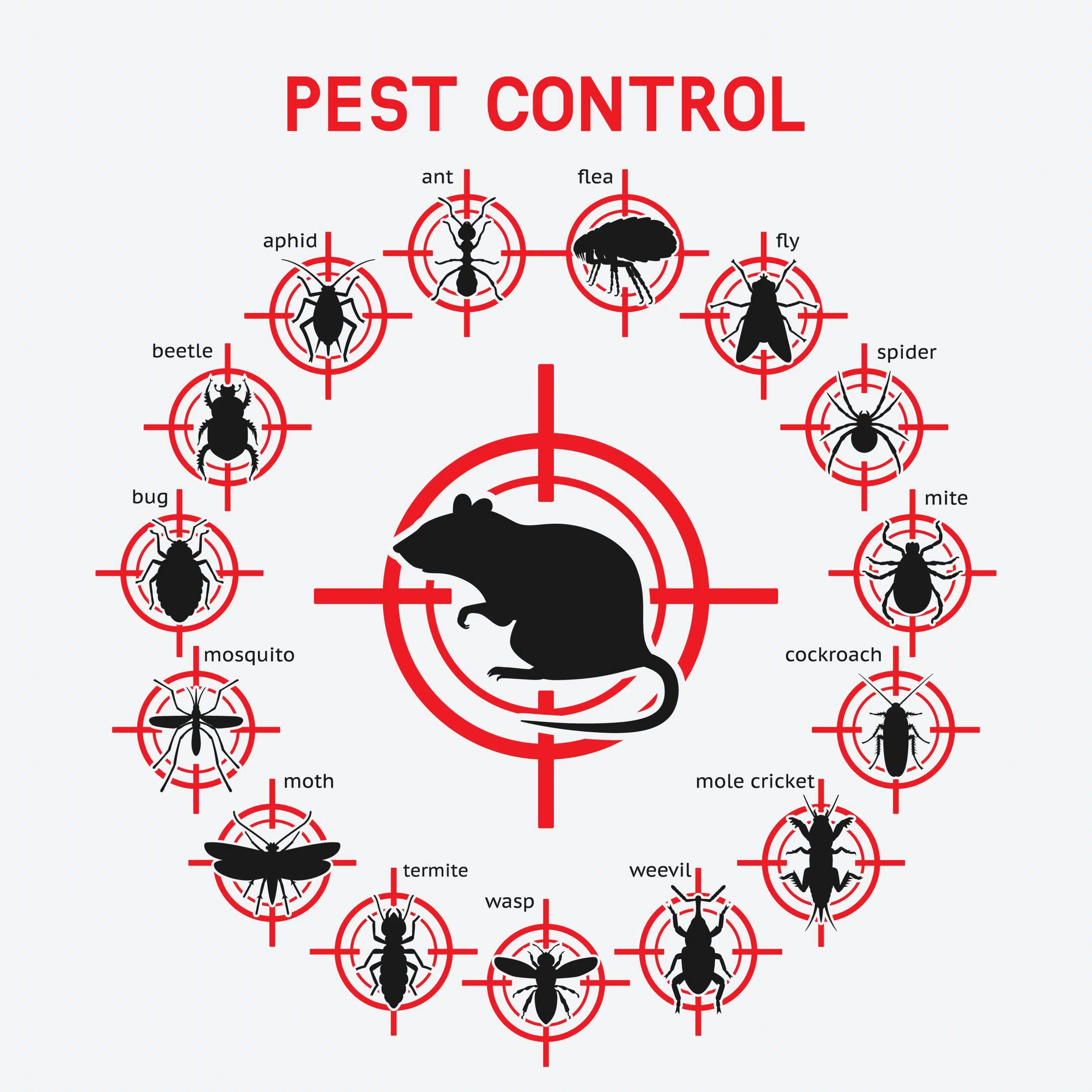 Gallery image 1 — commercial pest control Springfield