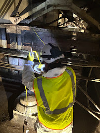Gallery image 5 — commercial pest control Springfield