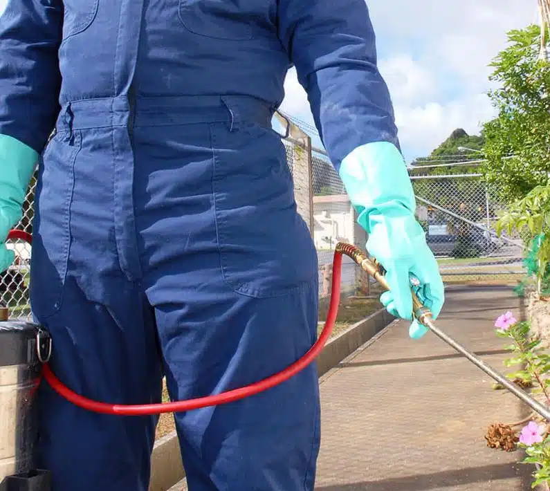 Gallery image 3 — commercial pest control Springfield