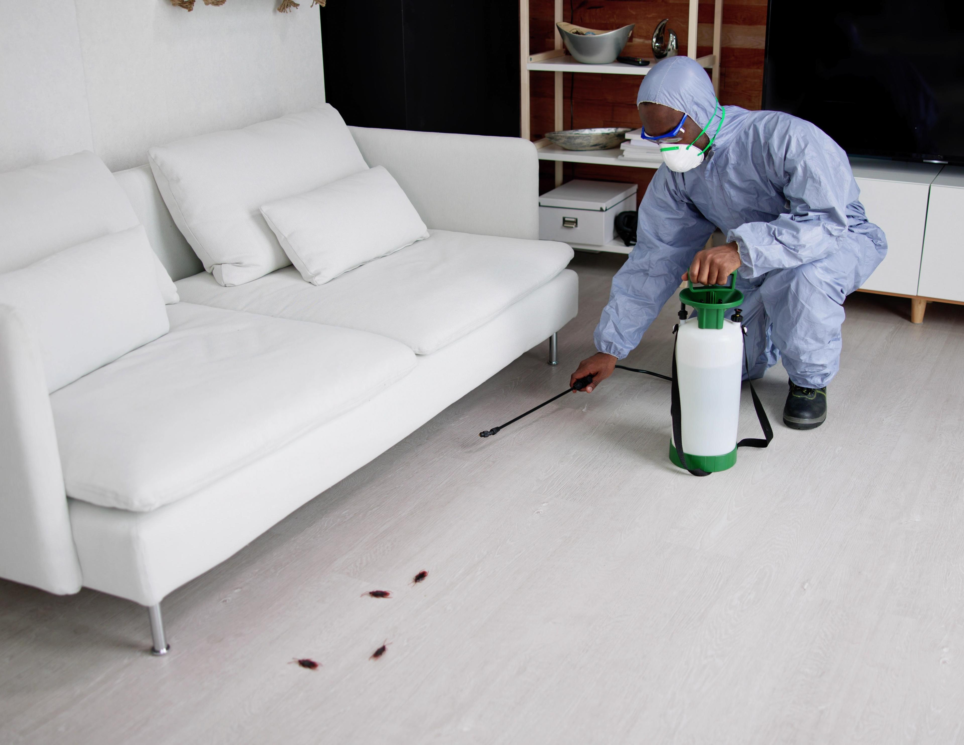 commercial pest management Chicago