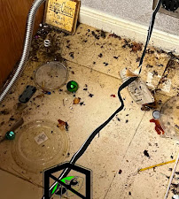 Gallery image 3 — commercial pest management Chicago