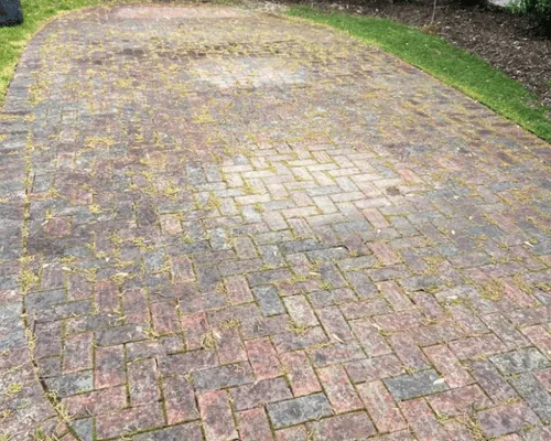 Gallery image 3 — gutter cleaning and soft wash Skokie