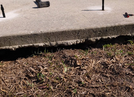 Gallery image 5 — void filling Florida