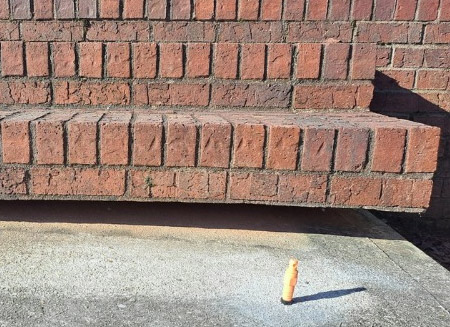 Gallery image 6 — void filling Florida