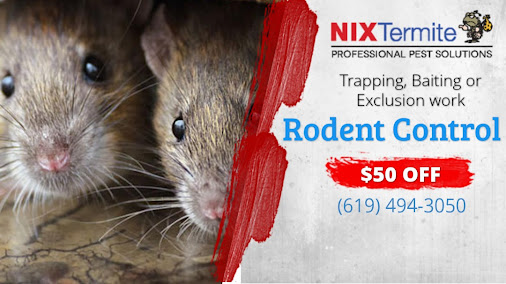 Gallery image 7 — best rodent control in Del Mar