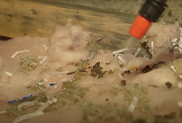 Gallery image 2 — affordable rat exterminator in Lake Forest
