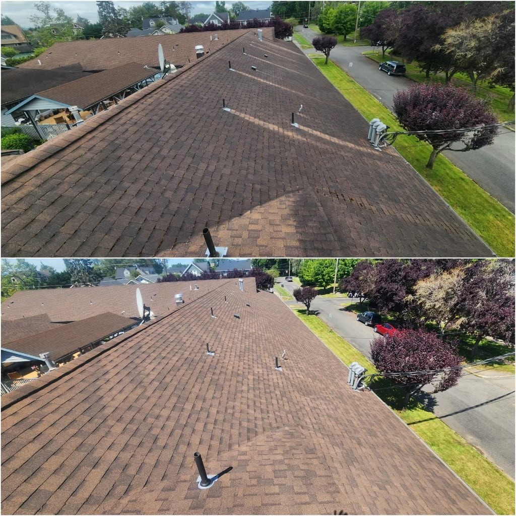 Gallery image 6 — rust removal Protech Pressure Washing