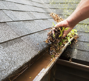 Gallery image 6 — best window cleaning Calabasas